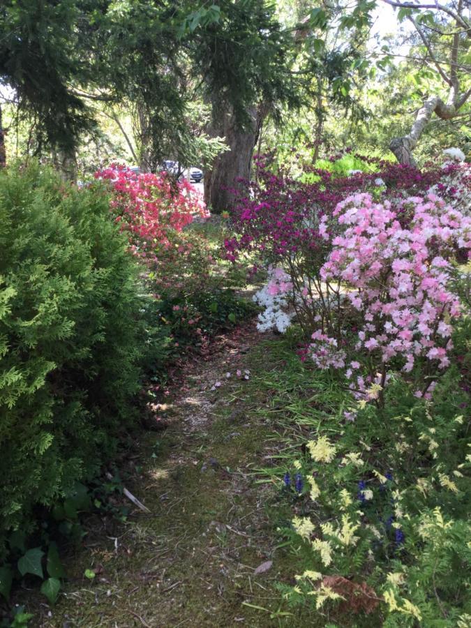 The Wentworth Retreat Villa Wentworth Falls Bagian luar foto